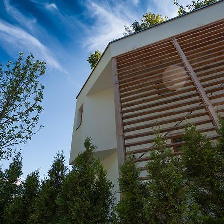 Kitz Apartment Кицбюэль Экстерьер фото